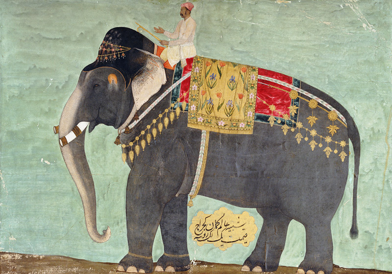 Portrait Of The Elephant  ''Alam-Guman Gajraj'' von 