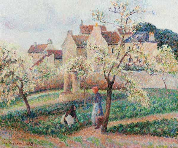 Plum Trees In Blossom von 