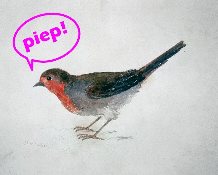 Robin, from The Farnley Book of Birds  - "piep!"