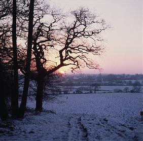 Winter scene in the snow, Hockley, Essex