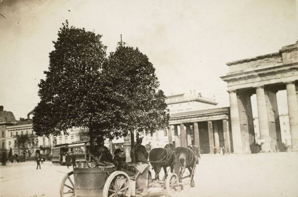 Transport Kuebelpflanzen,Brandenb.Tor von 