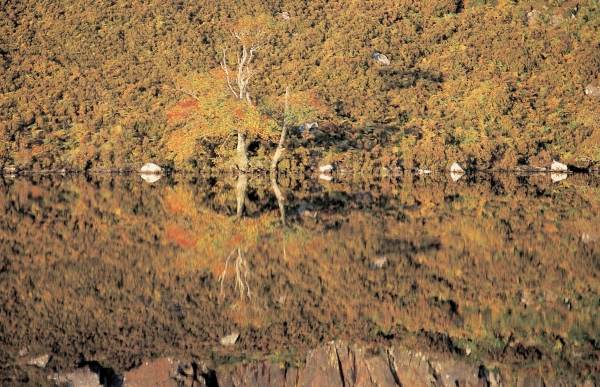 Trees reflected in the river, Loch Nacroigh (photo)  von 