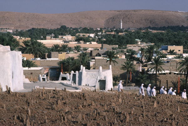 View of the cemetery on the western side of the city (photo)  von 