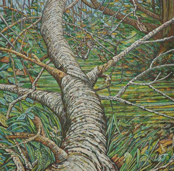 ohne Titel von Noel Paine