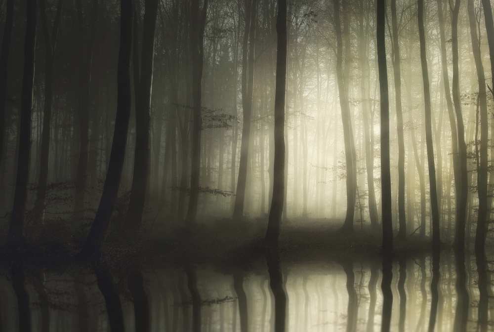 absolute silence von Norbert Maier