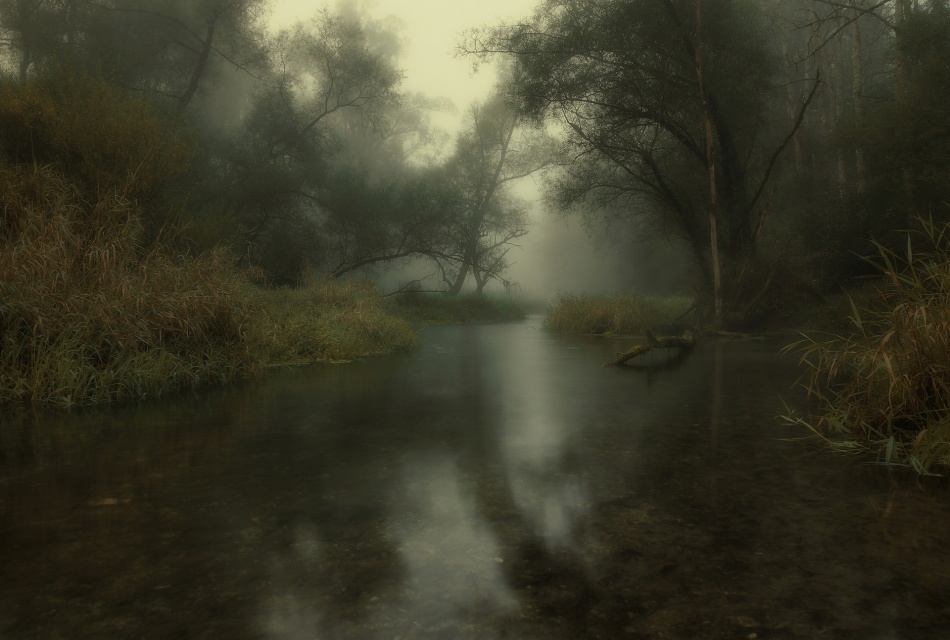 early fall &amp; silence von Norbert Maier