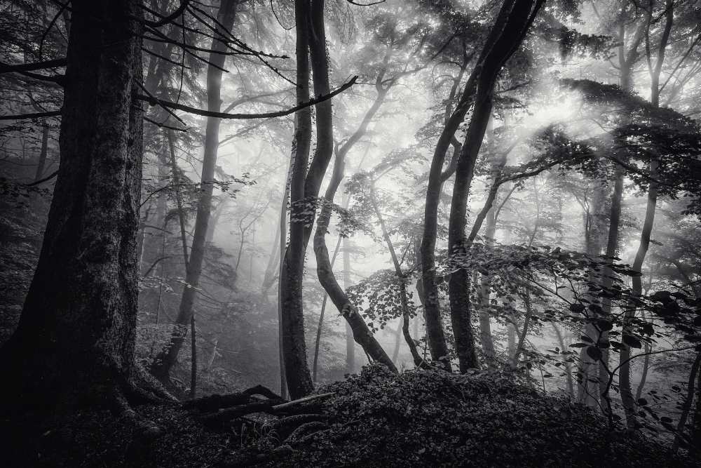 mysterious light von Norbert Maier