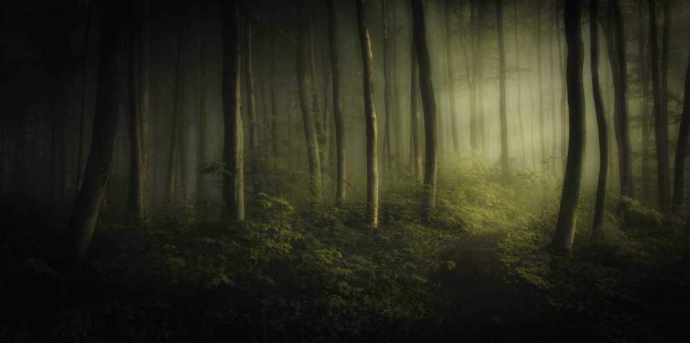 take your time ... von Norbert Maier