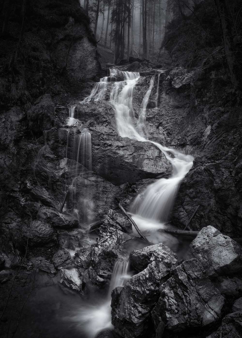 waiting for forever von Norbert Maier