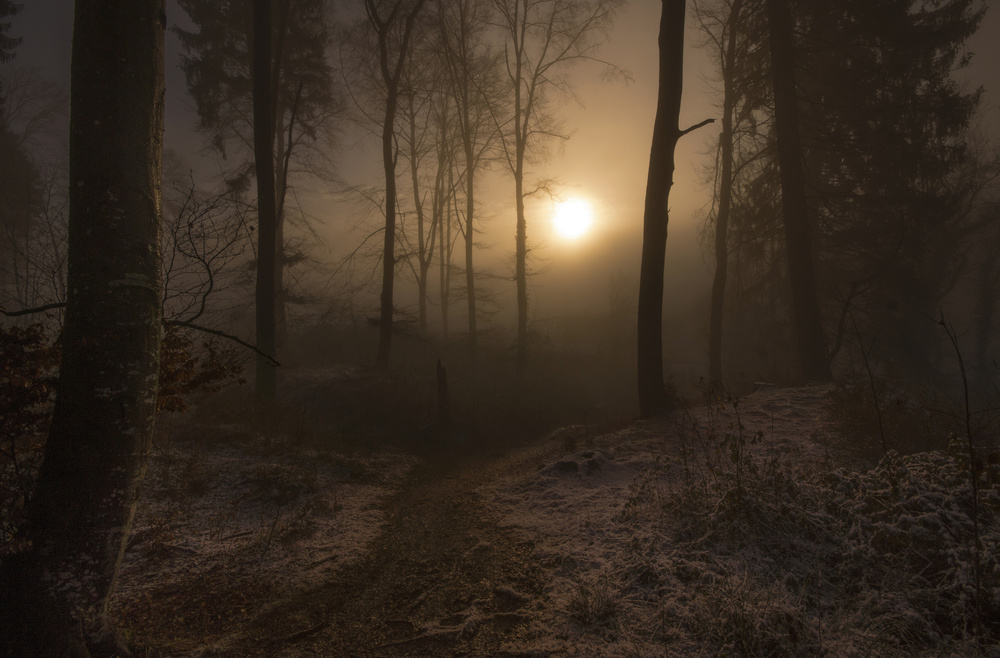 winter sunrise von Norbert Maier