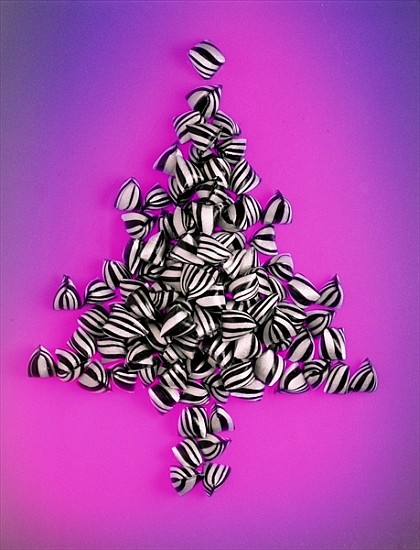 Bah Humbug! 2003 (colour photo)  von Norman  Hollands