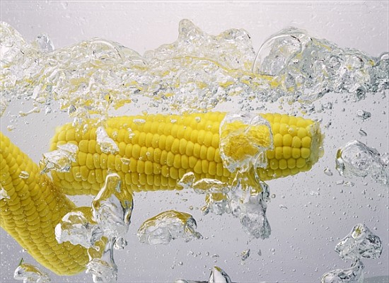 Boiling sweetcorn, 2003 (colour photo)  von Norman  Hollands
