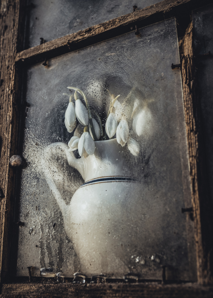 Spring flowers von Normunds Kaprano