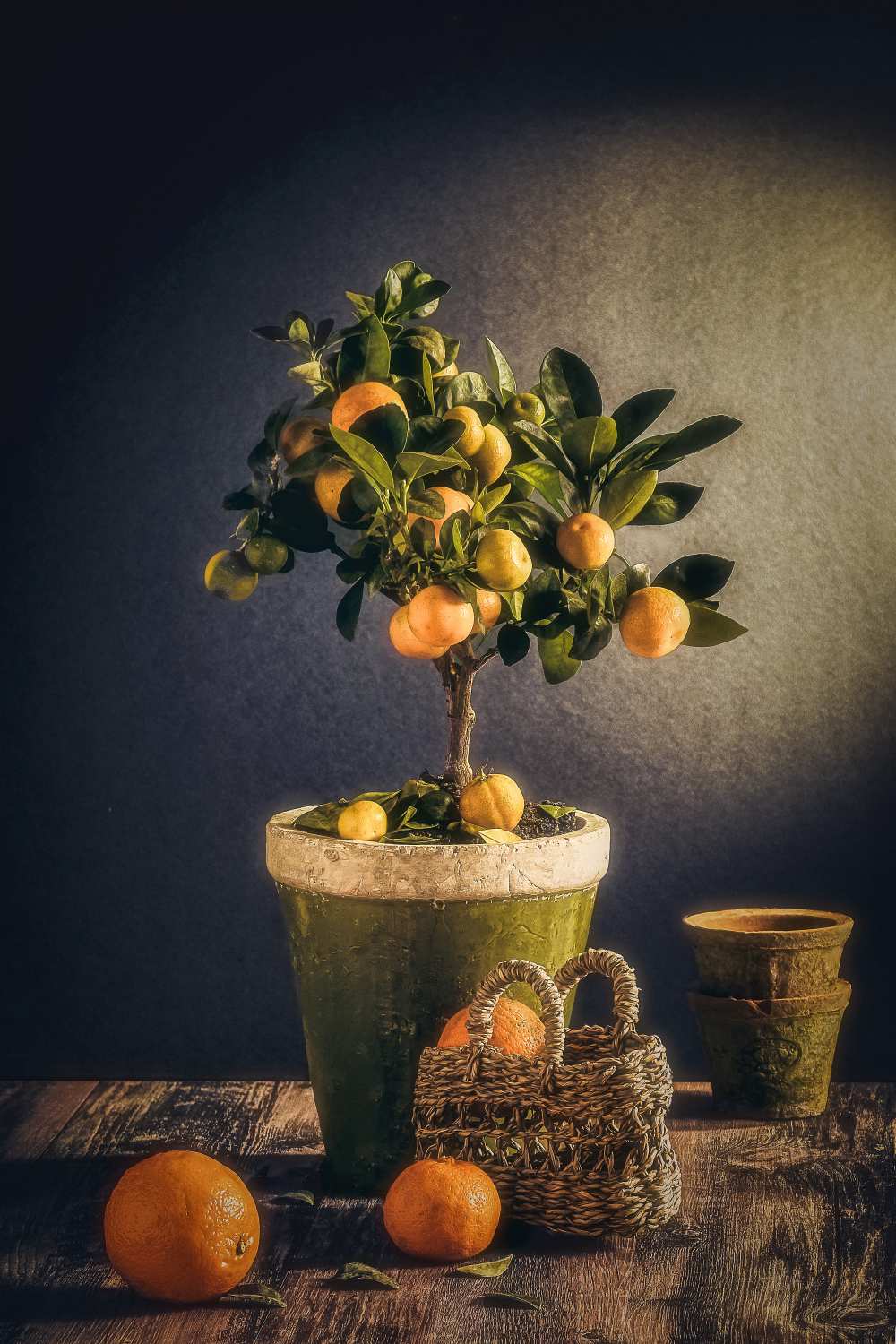 Winter von Nour Al-Dien Mahmoud