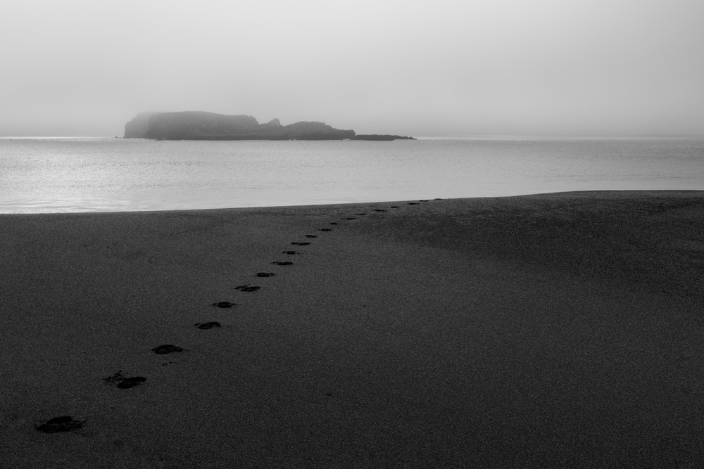 Gone Away #2 von Nuno Borges