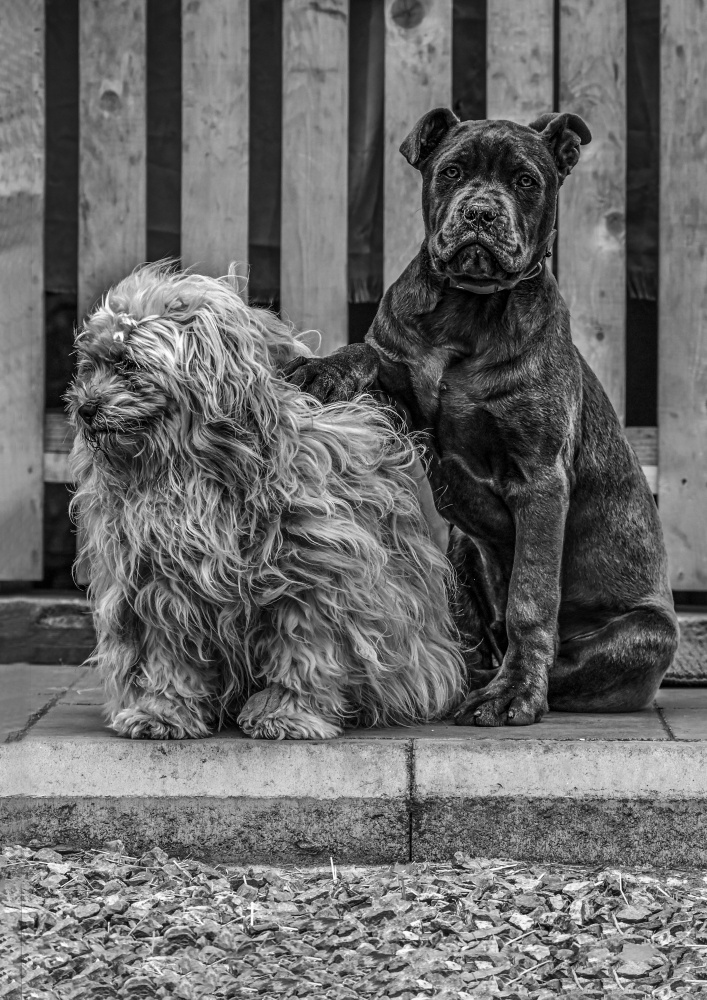 Shes mine von Oana Vasileniuc