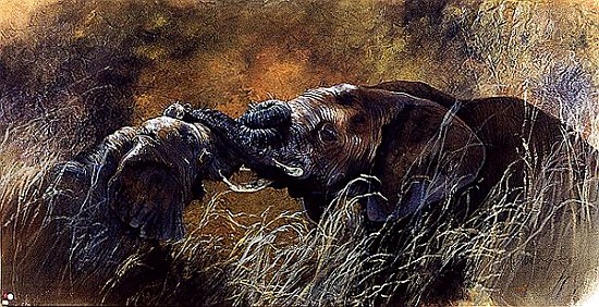 Bundu, 1998 (acrylic and pencil crayon on canvas)  von Odile  Kidd