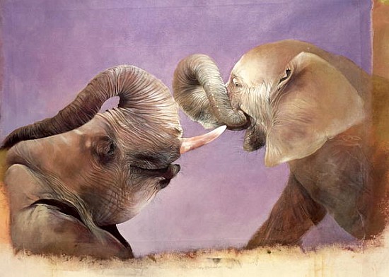 Elephants at Play, 2001 (acrylic on canvas)  von Odile  Kidd
