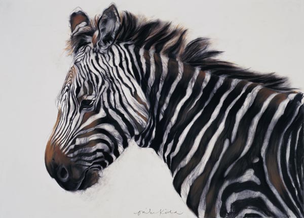 Zebra, 2002 (charcoal & chalk)  von Odile  Kidd