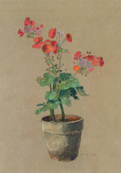 Geraniums in a pot von Odilon Redon