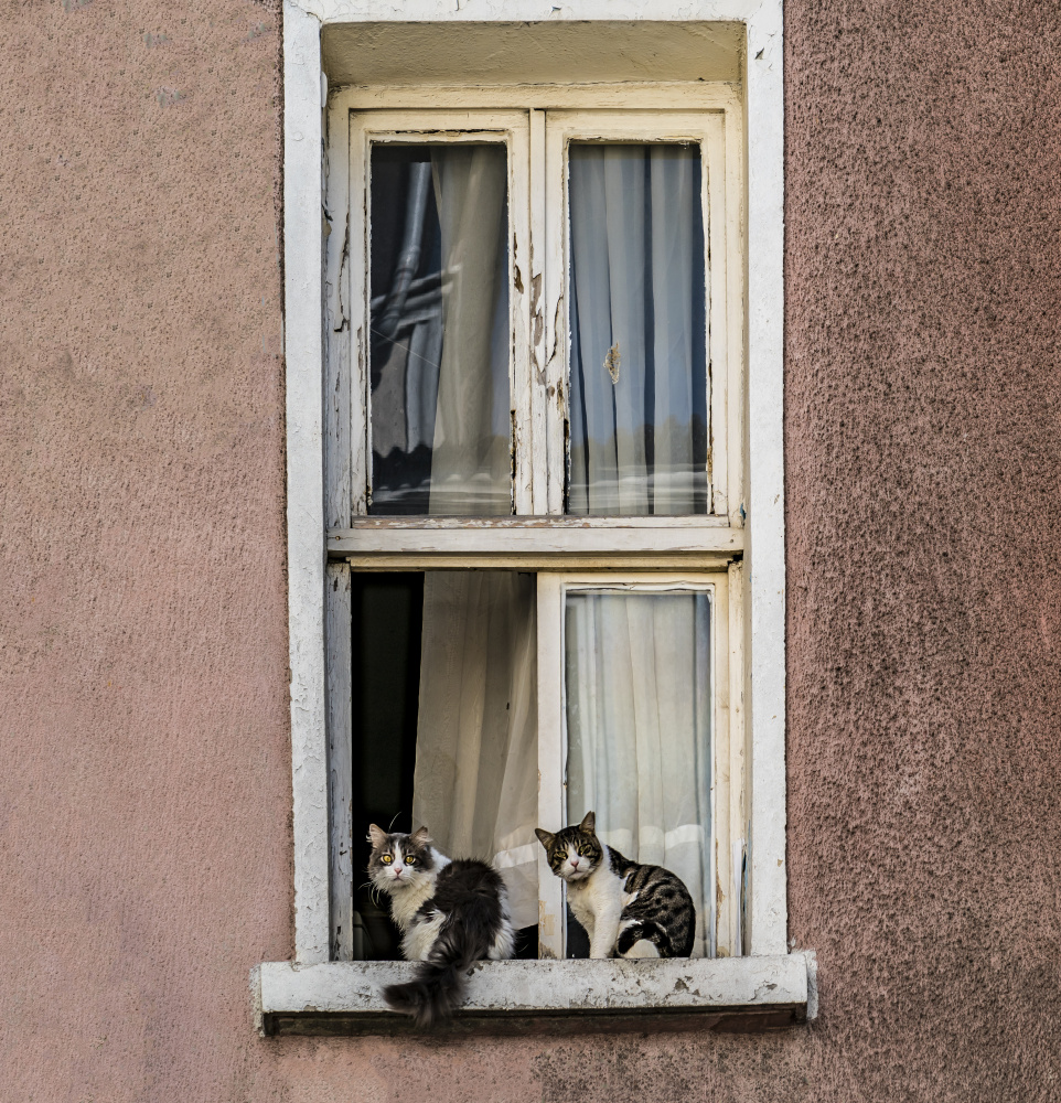 untitledl von Ömer Ateş Kızıltuğ