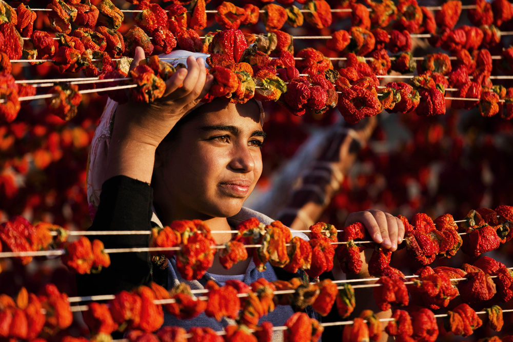 Pepper Dry von Özden Sözen