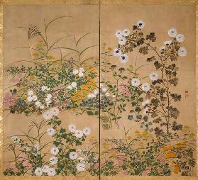 Blütenpflanzen im Herbst