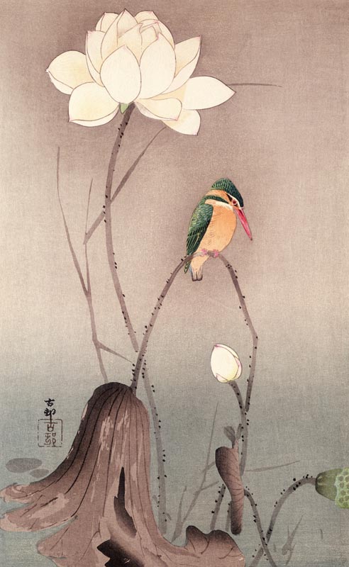 A Kingfisher and a lotus von Ohara Shôson