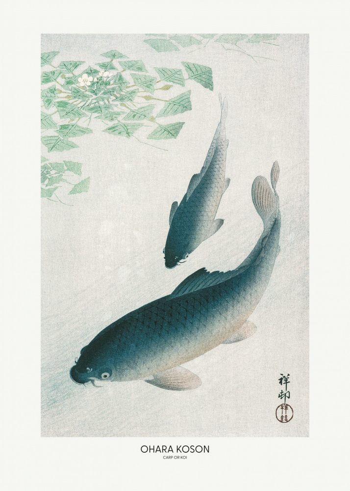 Carp Or Koi von Ohara Shôson