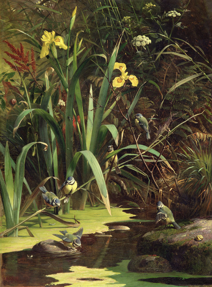 Bath Time von Olaf August Hermansen