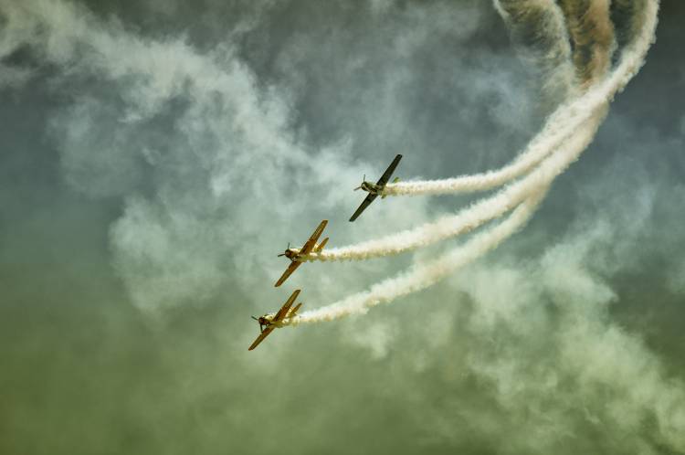 wartime von Olari Ionut