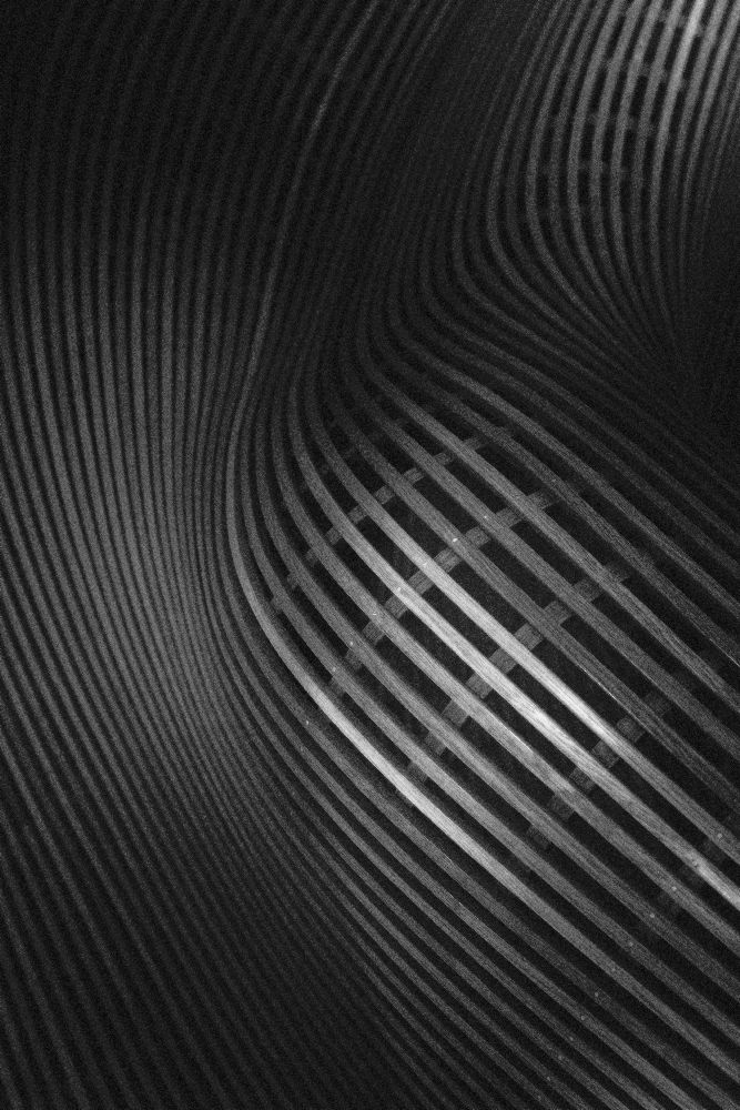 GESCHWUNGENE LINIEN von Olavo Azevedo