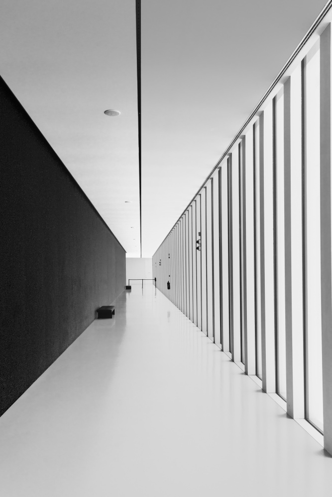 Light contrast von Olavo Azevedo