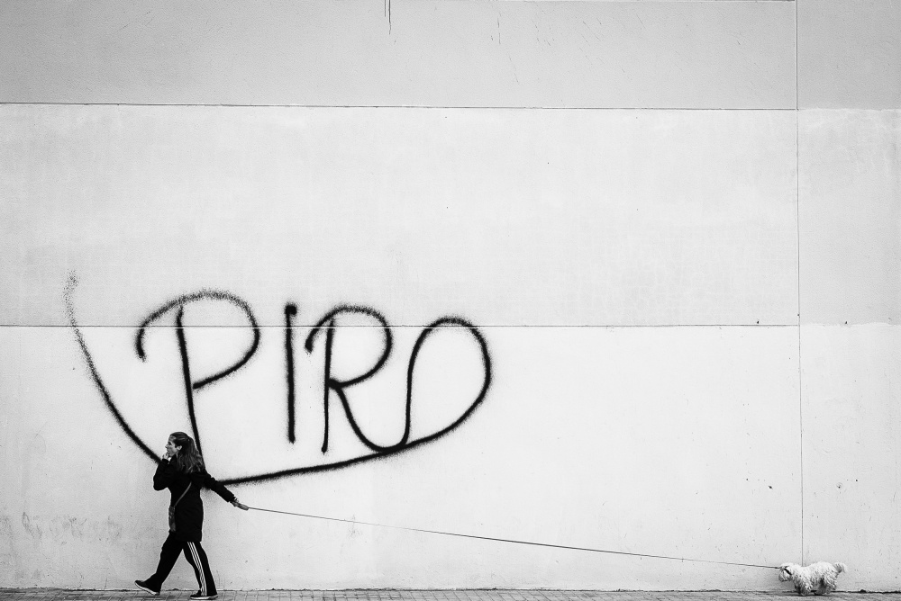 The Lady with the Dog von Oleg Dudko