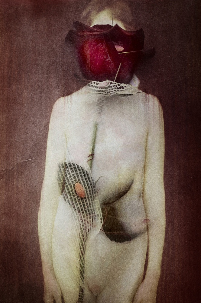 Inside Out von Olga Mest