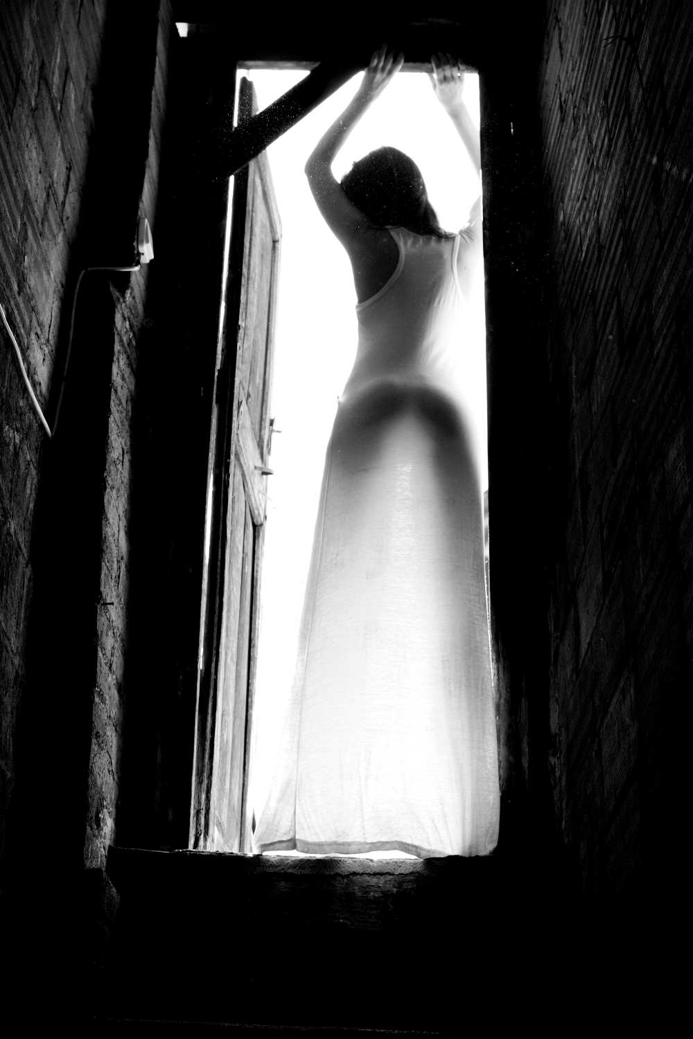 welcoming sunshine von Olga Mest