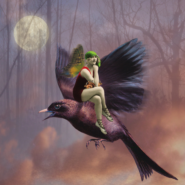 Flight von Olga Snell