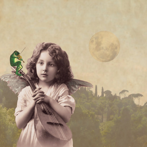 Frog Chorus von Olga Snell