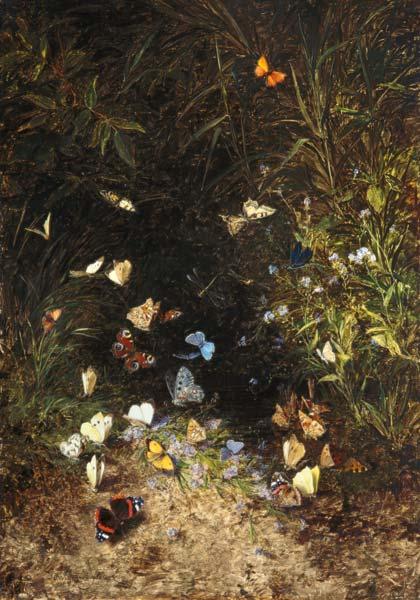 Wiesengrund mit bunten Schmetterlingen