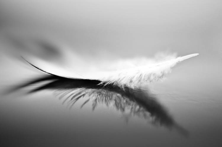 White von Olinda Coutinho