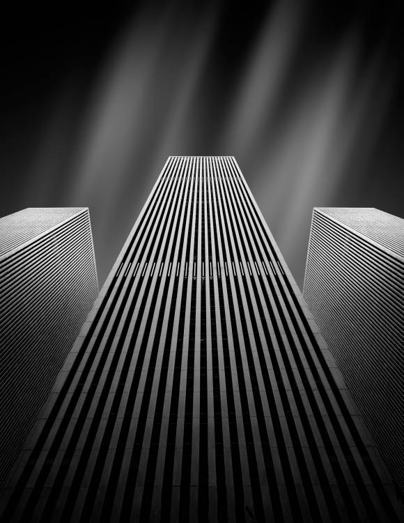 The W von Olivier Schwartz