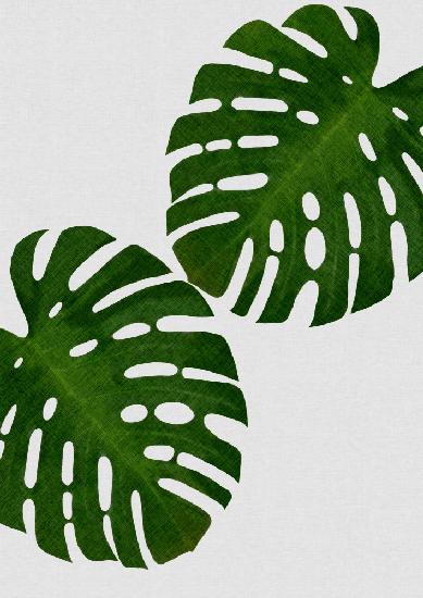 Monstera Leaf II