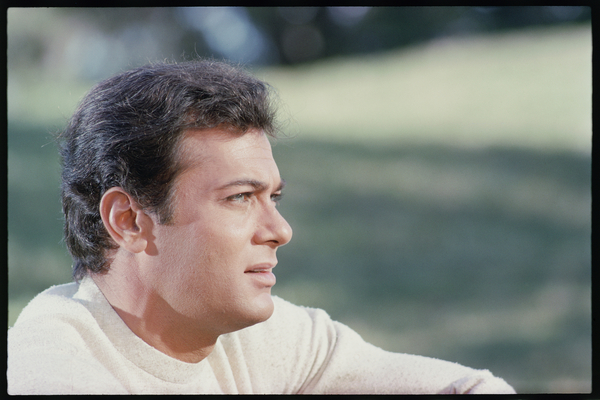 Tony Curtis portrait von Orlando Suero