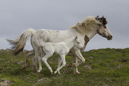 Mother´s Running Lesson