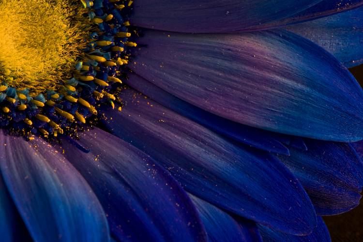 Blue Rays von Orsteinn H.  Ingibergsson