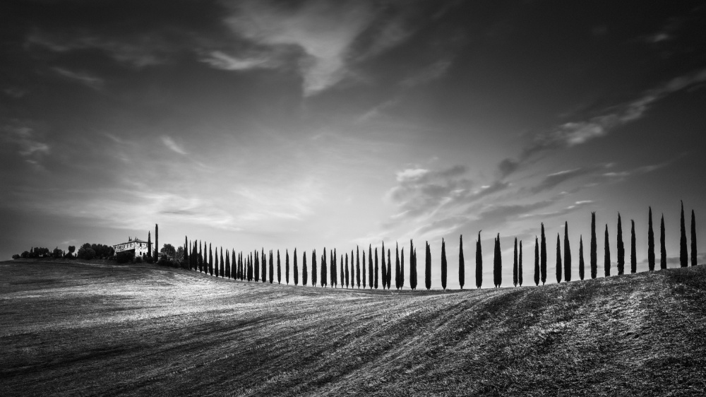 Poggio Covili von Oscar Lopez