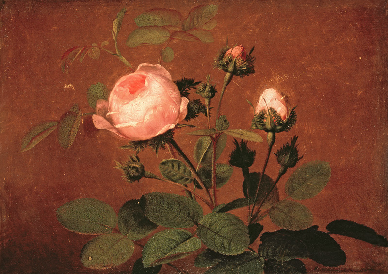 Roses, Roses von Otto Diderik Ottesen