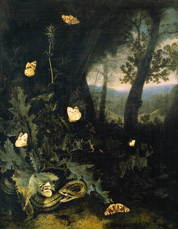 Waldboden mit Distel und Schlange von Otto Marseus van Schrieck