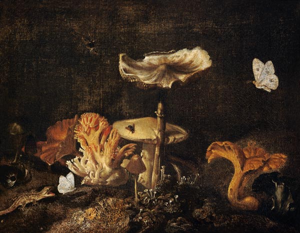 Stillleben mit Champignons und Schmetterling von Otto Marseus van Schrieck