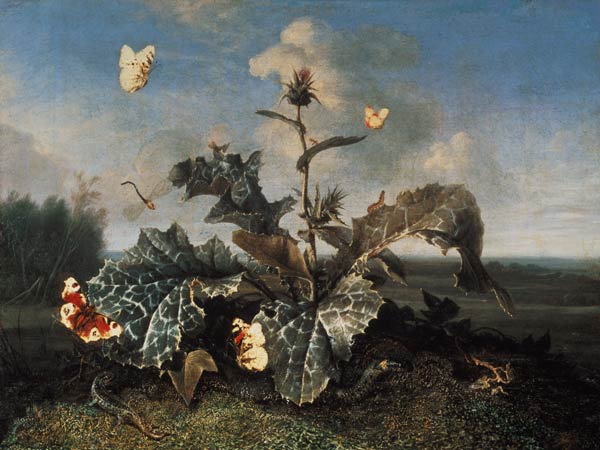 The Burdock Bush von Otto Marseus van Schrieck